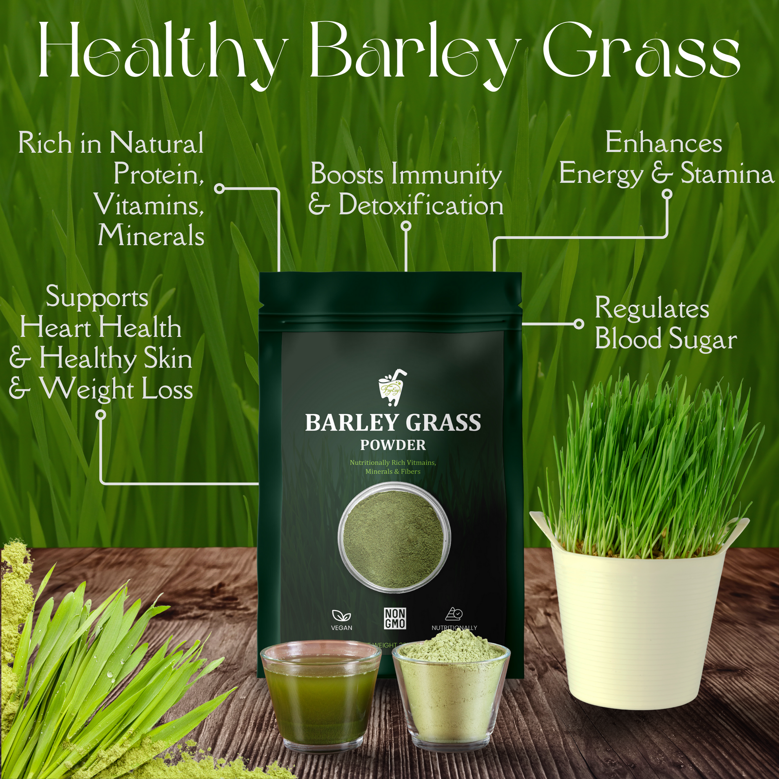 FzyEzy Premium Natural Barley Grass Powder | 100% Pure